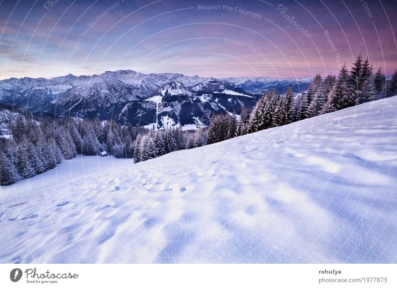rosa Sonnenaufgang in den Winter Alpen Ferien & Urlaub & Reisen Schnee Berge u. Gebirge Natur Landschaft Himmel Baum Wald Hügel Felsen blau alpin Gipfel Düne