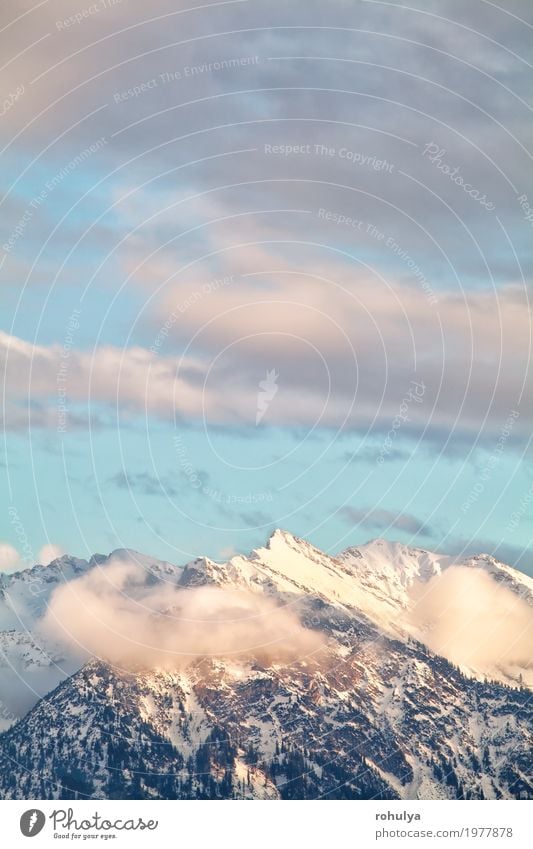 Bergspitzen über Himmel im Abendsonnenlicht Ferien & Urlaub & Reisen Winter Schnee Berge u. Gebirge Natur Landschaft Wolken Wald Alpen Gipfel blau Gelassenheit