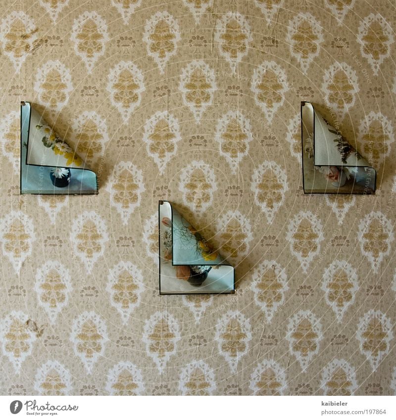 Origami Häusliches Leben Wohnung einrichten Innenarchitektur Dekoration & Verzierung Tapete Mauer Wand alt retro braun gelb ästhetisch Kunst Symmetrie Verfall