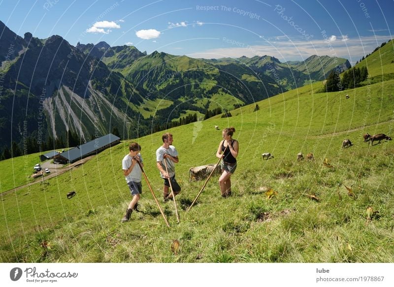 Almhirten Umwelt Natur Landschaft Sommer Schönes Wetter Felsen Alpen Berge u. Gebirge Gipfel Kommunizieren Bregenzerwald Vorarlberg Landwirtschaft Almwirtschaft