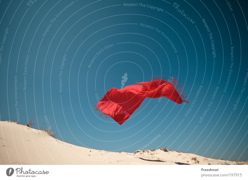 fliegender teppich Natur Landschaft Urelemente Erde Sand Luft Himmel Wolkenloser Himmel Sommer Schönes Wetter Wüste außergewöhnlich positiv rot Bewegung