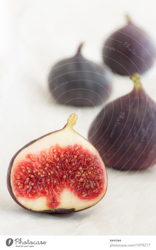 Vier Feigen auf hellem Grund aufgeschnitten Lebensmittel Frucht Vitamin Ernährung Vegetarische Ernährung frisch Gesundheit violett rot weiß Scheinfrucht