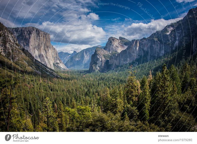 Yosemite National Parc Natur Landschaft Wald Felsen Berge u. Gebirge Sehnsucht Einsamkeit Abenteuer Erholung Ferien & Urlaub & Reisen Farbfoto Außenaufnahme
