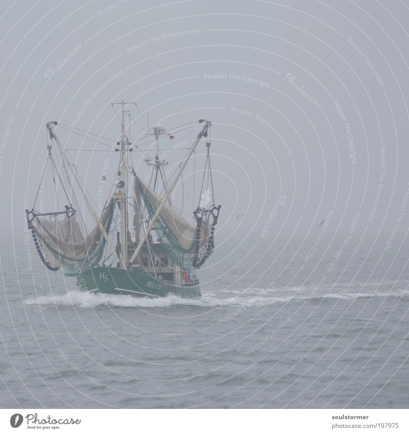das ist ein Boot! Wasser schlechtes Wetter Nebel Wellen Nordsee Schifffahrt Bootsfahrt Fischerboot Vogel Möwe Arbeit & Erwerbstätigkeit fahren Stimmung