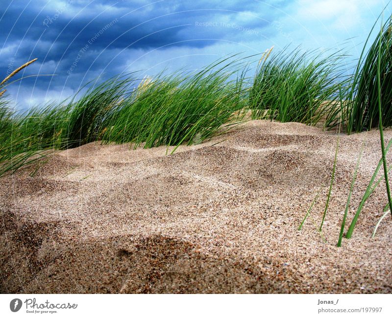 unter Wasser?! Umwelt Natur Landschaft Pflanze Erde Sand Luft Himmel Wolken Klima Wetter Schönes Wetter schlechtes Wetter Wind Sturm Gras Grünpflanze