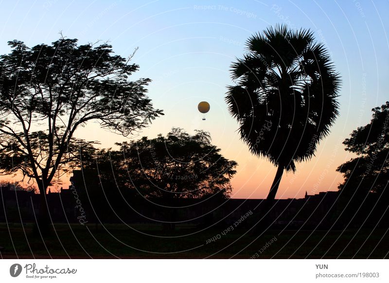 Ballon-Abend Ferien & Urlaub & Reisen Tourismus Ferne Sightseeing Natur Landschaft Pflanze Luft Himmel Wolkenloser Himmel Horizont Sonnenaufgang Sonnenuntergang