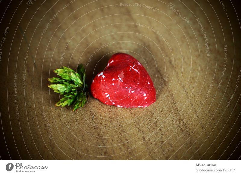 HERZlich Häusliches Leben Dekoration & Verzierung Valentinstag Pflanze Holz Zeichen Herz Küssen Liebe braun grün rot Gefühle Frühlingsgefühle Sympathie
