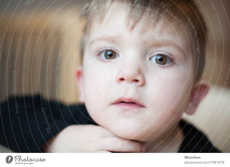 Blick Mensch Kind Kleinkind Junge Kindheit Leben Auge 1 1-3 Jahre Kommunizieren warten Sohn blond braunes Auge grüne augen schön niedlich frech Denken anschauen