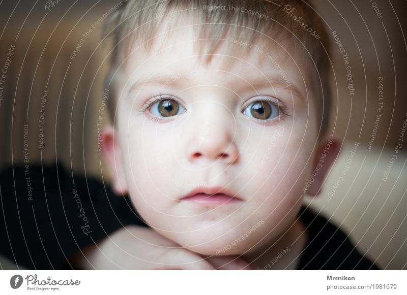 Anschauen Mensch Kind Kleinkind Junge Kindheit Auge 1 1-3 Jahre Gefühle Stimmung Zufriedenheit Wahrheit Sohn schön niedlich frech braunes Auge blond Blick