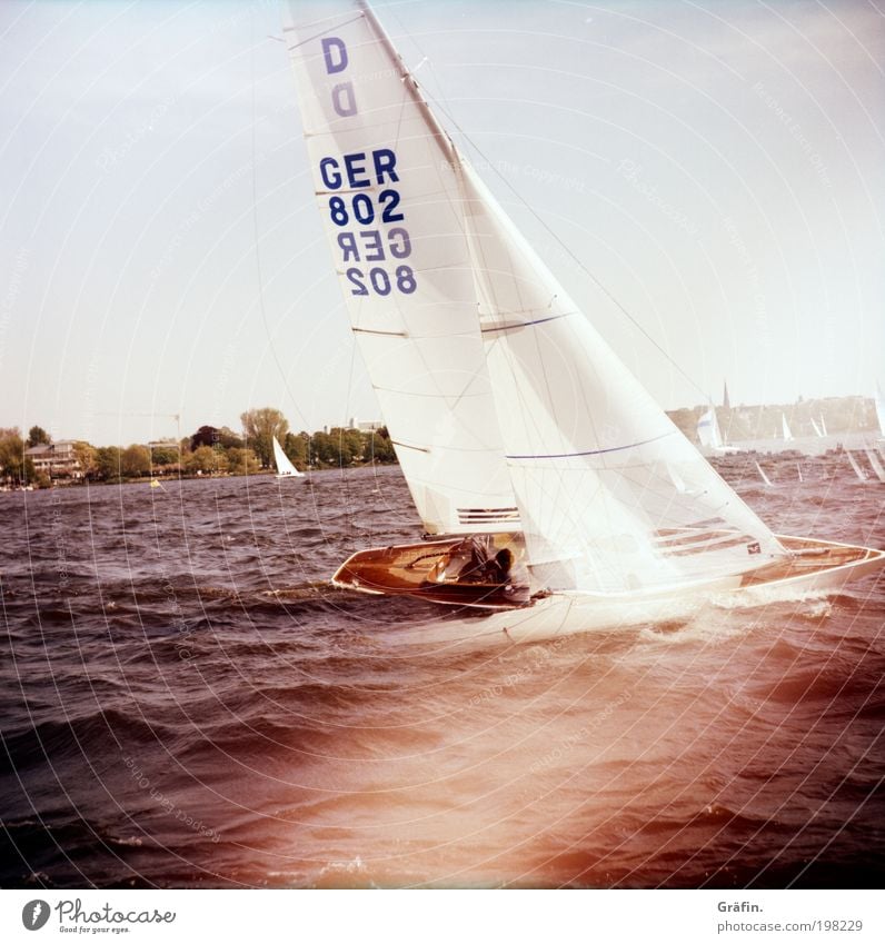Krängung Segeln Wellen Wassersport Regatta Sommer See Hamburg Alster Segelboot Segelschiff An Bord fahren schaukeln Sport Zusammensein nass sportlich Mut