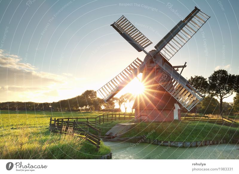 Sonnenschein hinter holländischer Windmühle Natur Landschaft Himmel Sommer Schönes Wetter Gras Wiese Fluss Gebäude Architektur grün Stern Sonnenstrahlen Feld