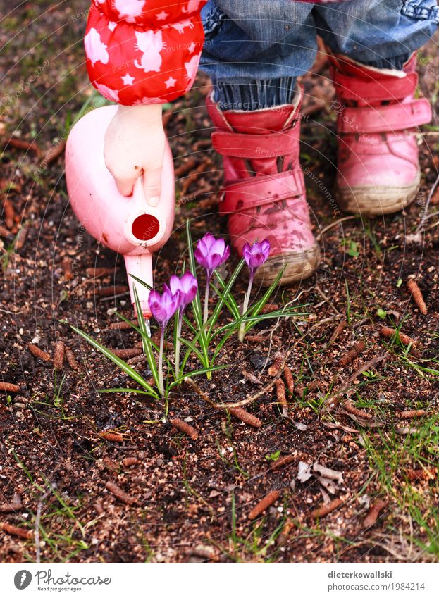 Blumen gießen Ostern Kind Gießkanne Mensch Kleinkind Mädchen Arme Hand Fuß Umwelt Natur Pflanze Frühling Krokusse Spielen Abenteuer Freude Garten Gartenarbeit