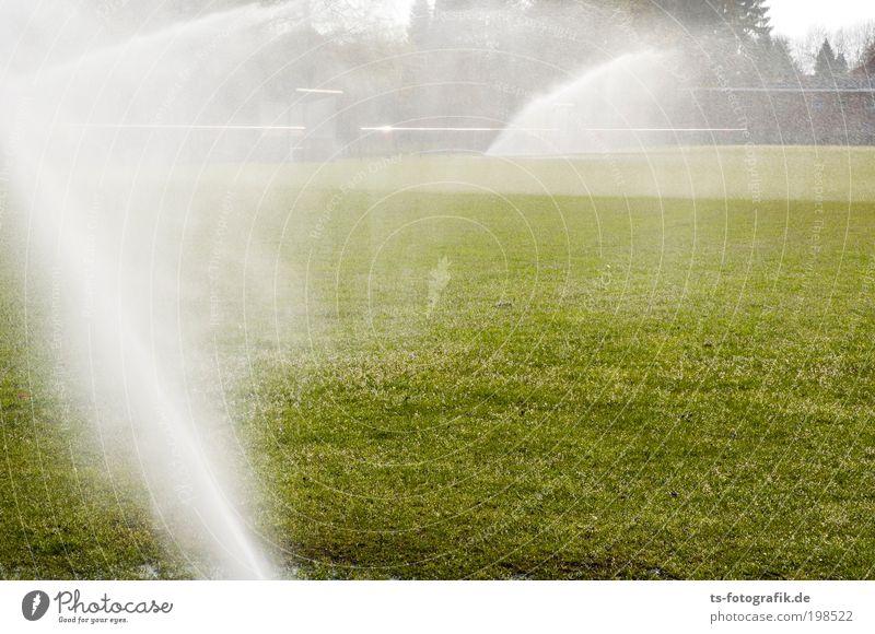 Rasenballett I Fußballplatz Urelemente Wasser Wassertropfen Frühling Sommer Klima Schönes Wetter Nebel Regen Wärme Dürre Nutzpflanze Gras sprengen gießen