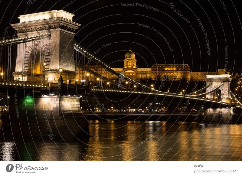 Kettenbrücke mit Burgpalast Ungarn Budapest bei Nacht Tourismus Stadt Burg oder Schloss Architektur historisch burgpalst Beleuchtung Großstadt Donau Attraktion