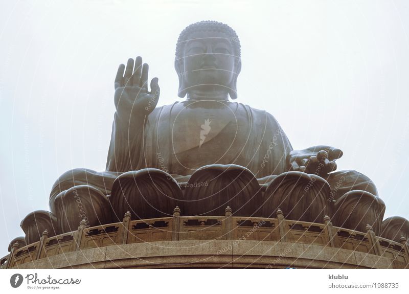 Große Buddha-Statue Meditation Kunst Kultur Architektur alt groß Religion & Glaube Himmelstempel Tempel Buddhismus Asien antik buddhistisch Bildhauerei