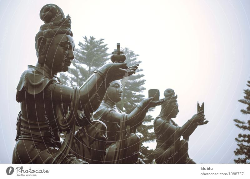 Verschiedene Tempelstatuen Meditation Kunst Kultur Architektur alt groß Religion & Glaube beten Statue Figur Buddha Himmelstempel Buddhismus Asien antik