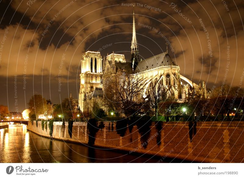 Notre Dame Paris Hauptstadt Kathedrale Sehenswürdigkeit Notre-Dame Kultur Kunst Religion & Glaube Himmel Frankreich Farbfoto Außenaufnahme Nacht