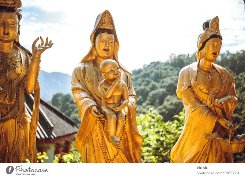 Tempel in Hong Kong schön Gesicht Ferien & Urlaub & Reisen Tourismus Dekoration & Verzierung Kunst Kultur Architektur Denkmal Straße Wege & Pfade