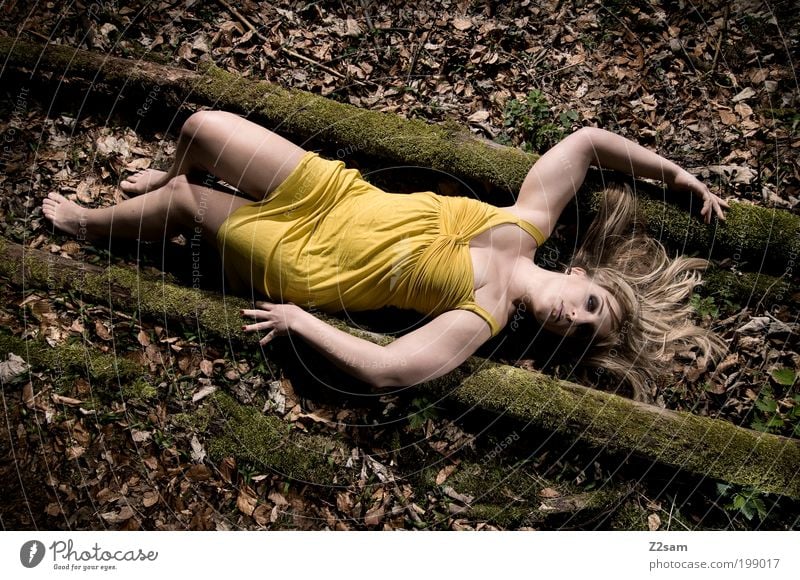 Alice in Gelb elegant Stil feminin Junge Frau Jugendliche 18-30 Jahre Erwachsene Natur Landschaft Baum Wald Kleid blond liegen schlafen träumen ästhetisch