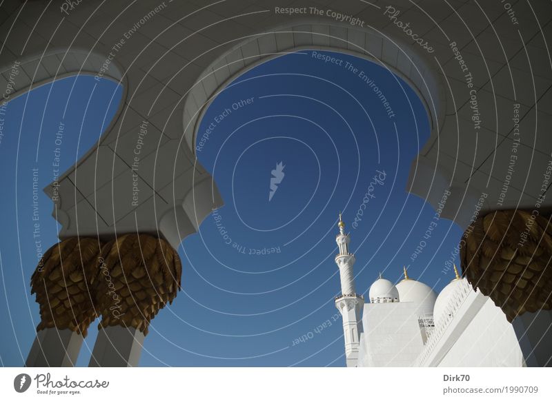Scheich-Zayid-Moschee Reichtum Wolkenloser Himmel Sonnenlicht Frühling Klima Schönes Wetter Abu Dhabi Vereinigte Arabische Emirate Stadt Hauptstadt Bauwerk
