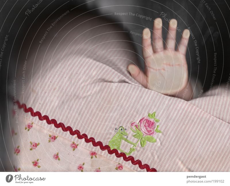 flache hand Kind Hand 1 Mensch 1-3 Jahre Kleinkind Stoff berühren rosa Kissen Farbfoto Nahaufnahme Detailaufnahme Muster Strukturen & Formen Froschperspektive