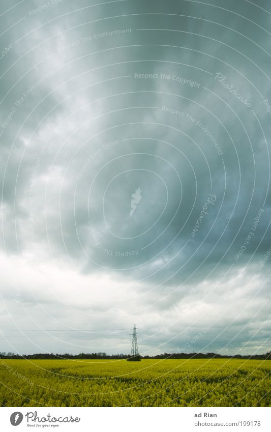 unter Strom Landwirtschaft Arbeitsplatz Bauernhof Umwelt Natur Landschaft Wasser Himmel Wolken Gewitterwolken Wetter schlechtes Wetter Unwetter Wind Raps