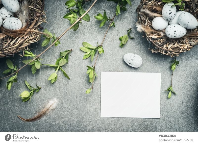 Ostereier Nest mit Eier und weißer Papier Karte Stil Design Dekoration & Verzierung Feste & Feiern Ostern Natur Pflanze Frühling Blume Blatt Blüte Liebe retro