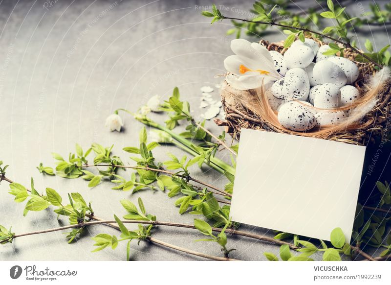 Ostern Grußkarte und Nest mit Eiern Stil Design Dekoration & Verzierung Feste & Feiern Natur Pflanze Frühling Blume Grünpflanze Tradition Hintergrundbild
