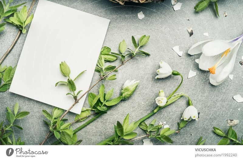 Frühlingsblumen und Zweige und leere weiße Karte Stil Design Häusliches Leben Garten Valentinstag Natur Pflanze Blume Blatt Blüte Liebe Hintergrundbild