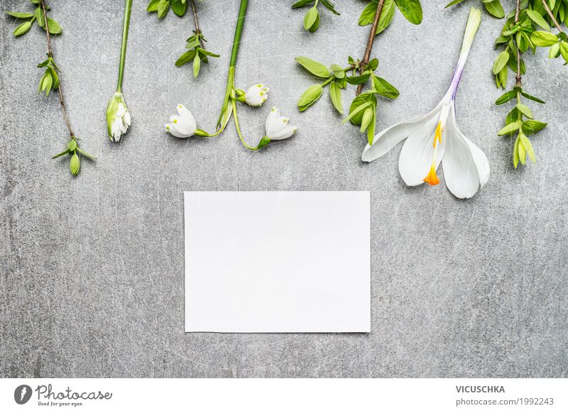 Leere weiße Karte mit Maiglöckchen, Krokusse und Frühlingszweige Stil Design Garten Natur Pflanze Blume Blatt Blüte Dekoration & Verzierung Blumenstrauß