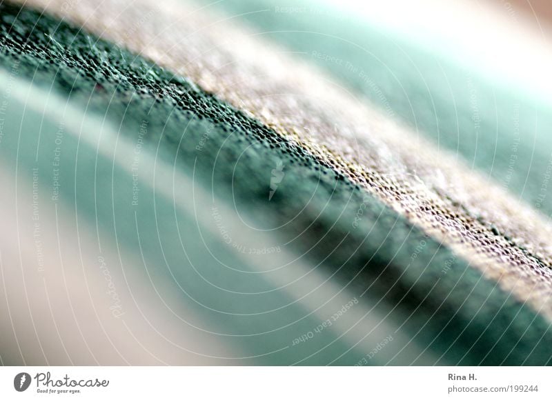 Gestreifter Stoff Stoffmuster Decke einfach grün Streifen gestreift Strukturen & Formen Muster diagonal Kissen Textilien beige Baumwolle Gedeckte Farben