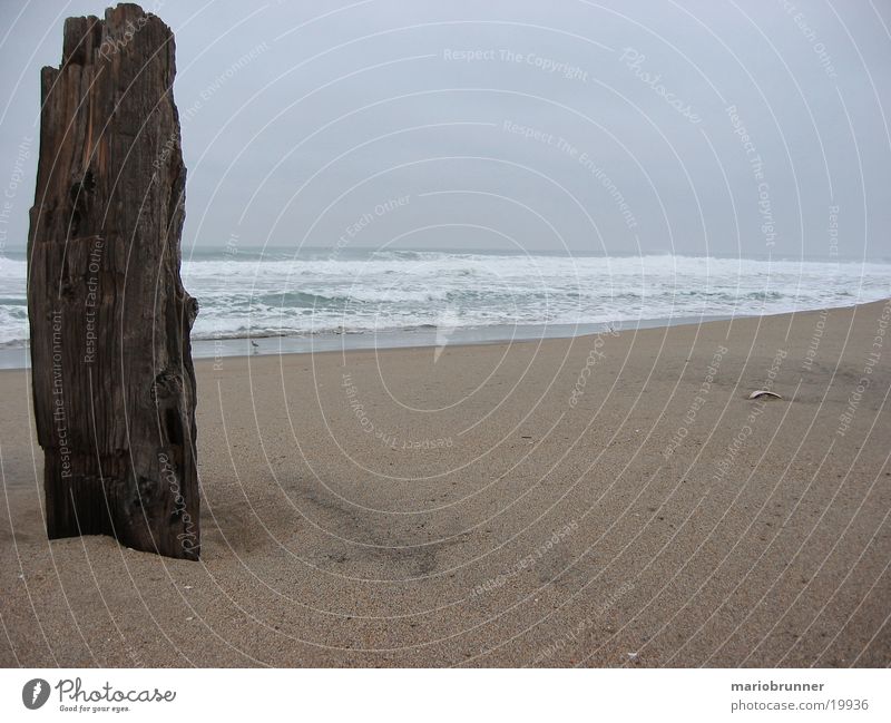 highway_no1_beach Strand Meer Wellen Pazifik Holz Kalifornien Einsamkeit leer Sand Balken USA Pazifikstrand Sandstrand Menschenleer Totholz Gischt Brandung