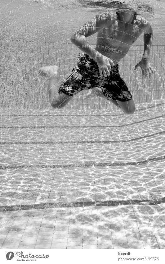 sUchender Schwimmen & Baden Ferien & Urlaub & Reisen Tourismus Sommer Sommerurlaub Wassersport Junger Mann Jugendliche 1 Mensch Bewegung Fitness sportlich nass