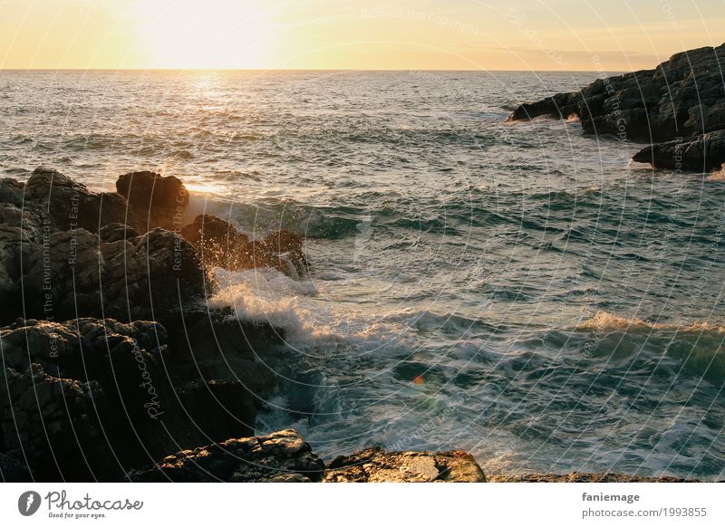 coucher du soleil à la Madrague de Montredon Natur Landschaft Urelemente Wasser Wassertropfen Schönes Wetter Wellen Küste Meer Erholung Sonnenlicht sprudelnd