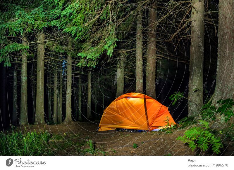 Camping im Wald Erholung Freizeit & Hobby Ferien & Urlaub & Reisen Tourismus Ausflug Abenteuer Sommer Sommerurlaub Berge u. Gebirge wandern Lampe Klettern