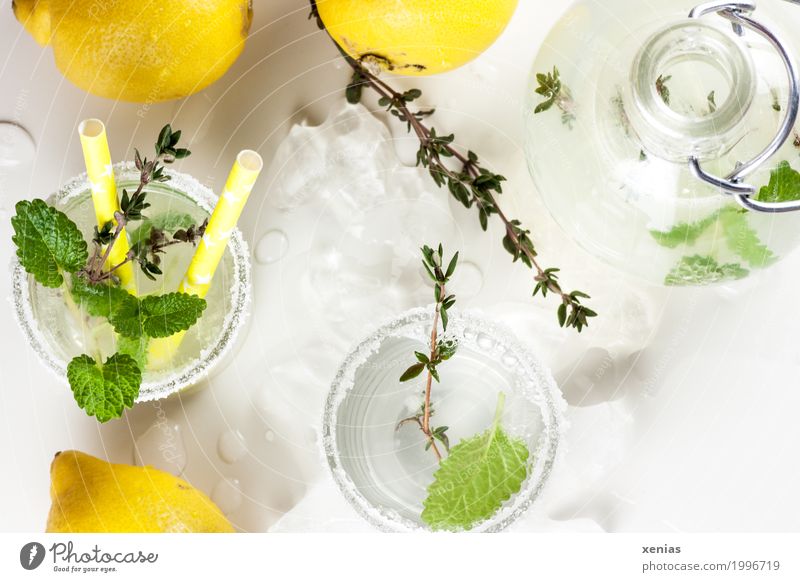 Zitronenlimo mit Minze und Thymian selbstgemacht Frucht Kräuter & Gewürze Minzeblatt Zucker Getränk trinken Erfrischungsgetränk Trinkwasser Limonade Flasche