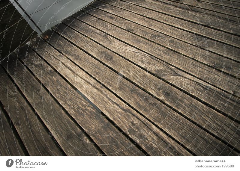 Steg Holz Wasser braun Holzbrett Brücke Strukturen & Formen Bodenbelag Linie Farbfoto Menschenleer Weitwinkel Terrasse