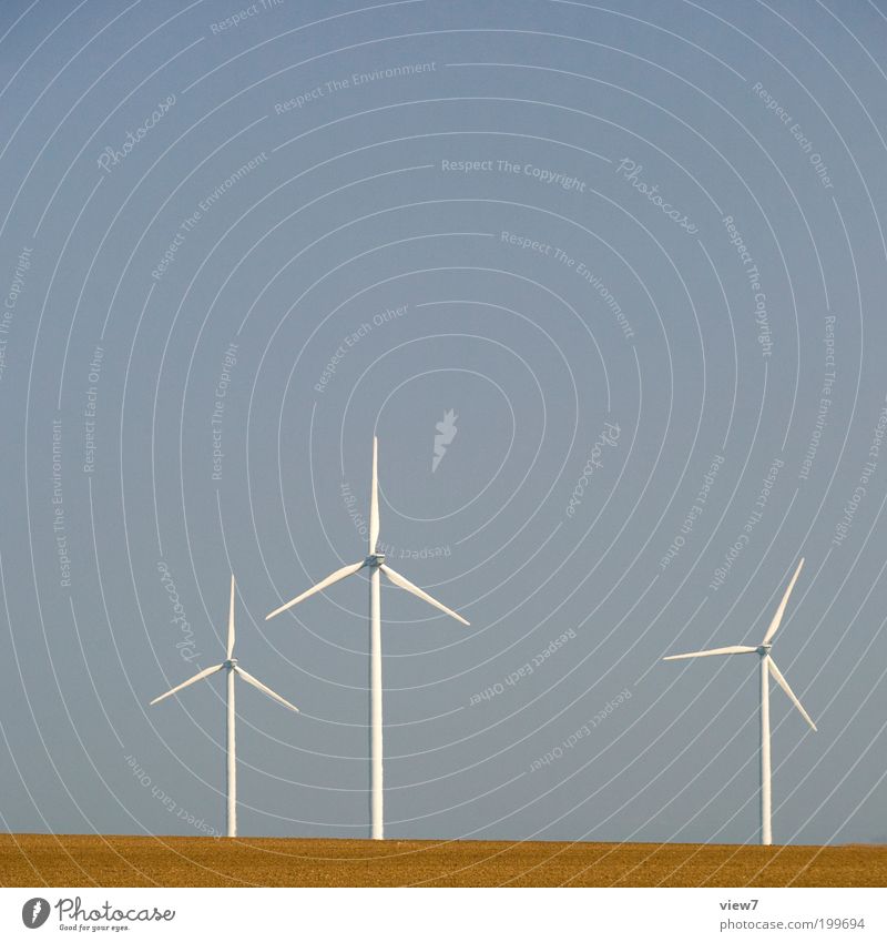 Windmühlen Maschine Energiewirtschaft Erneuerbare Energie Windkraftanlage Himmel Klima Schönes Wetter Industrieanlage ästhetisch authentisch dünn einfach kalt