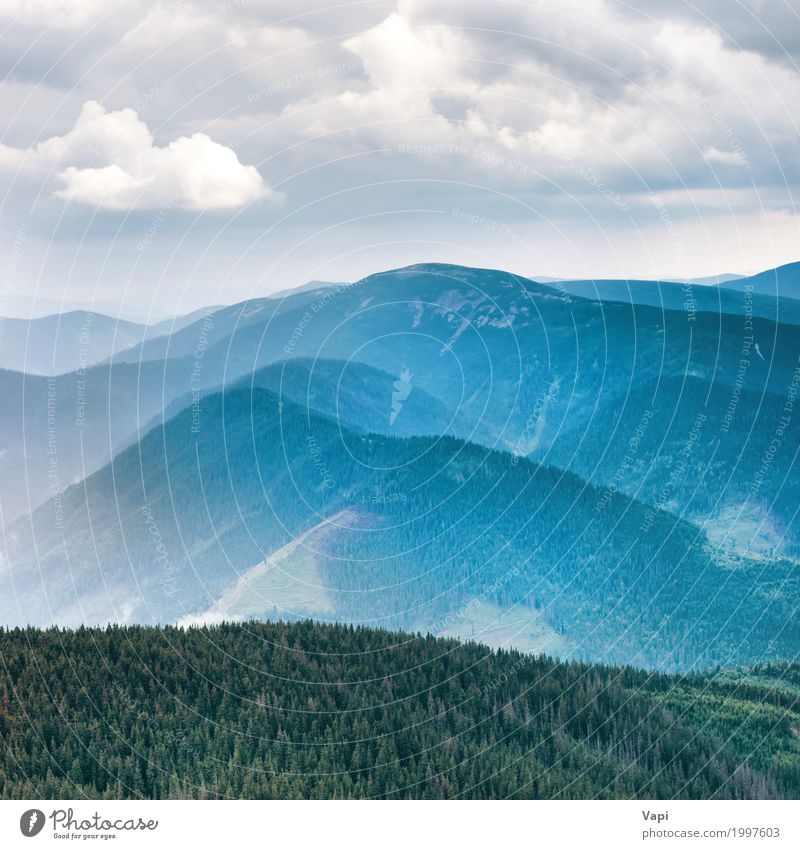 Blaue Berge bedeckt mit grünem Wald Ferien & Urlaub & Reisen Tourismus Ausflug Ferne Sommer Sommerurlaub Berge u. Gebirge Umwelt Natur Landschaft Himmel Wolken