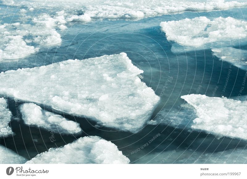 Schmelzwasser Umwelt Natur Landschaft Winter Klima Klimawandel Eis Frost Schnee Küste Ostsee Meer außergewöhnlich eckig fantastisch kalt Spitze blau weiß