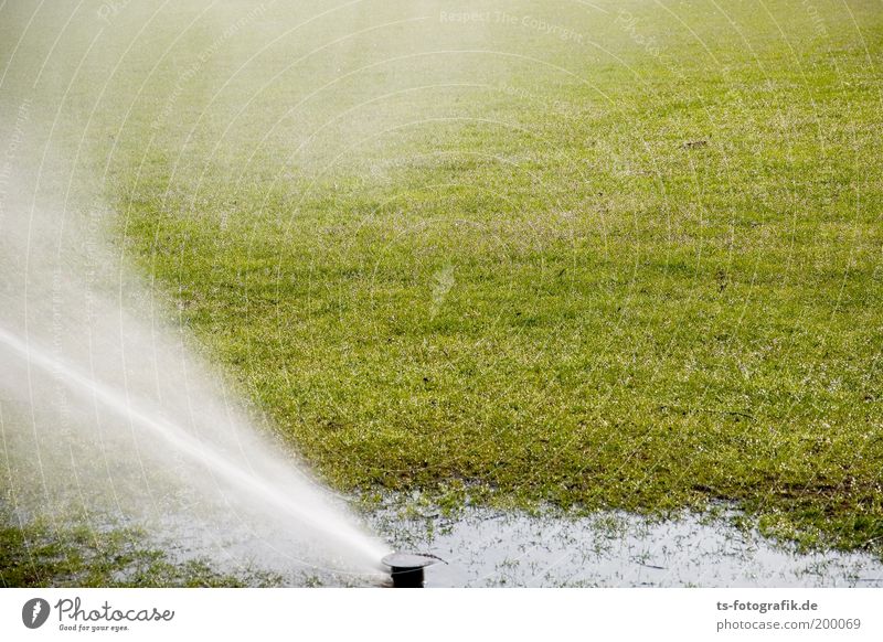 nass grass spass Sportstätten Fußballplatz Weltmeisterschaft Südafrika Gartenarbeit Gärtner Wasser Wassertropfen Sommer Klimawandel Wetter Schönes Wetter Regen