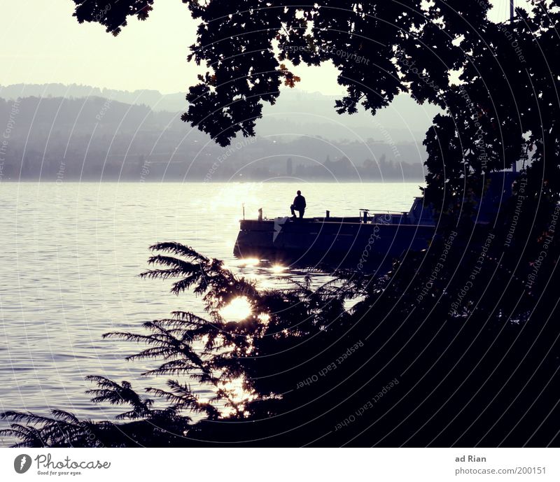 Wo 'five' wohnt Mensch 1 Seeufer Zürich See Stimmung Steg Anlegestelle Wasseroberfläche Reflexion & Spiegelung Urlaubsfoto Erholung Erholungsgebiet Farbfoto