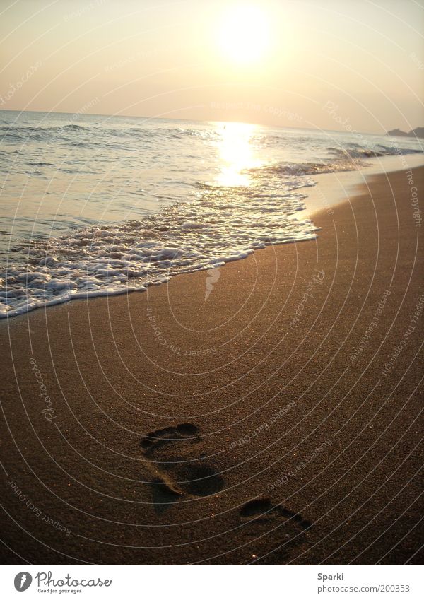 Weit wie das Meer Glück Ferien & Urlaub & Reisen Wasser Strand Menschenleer Zukunft Farbfoto Außenaufnahme Dämmerung Panorama (Aussicht) Sonne Sonnenlicht