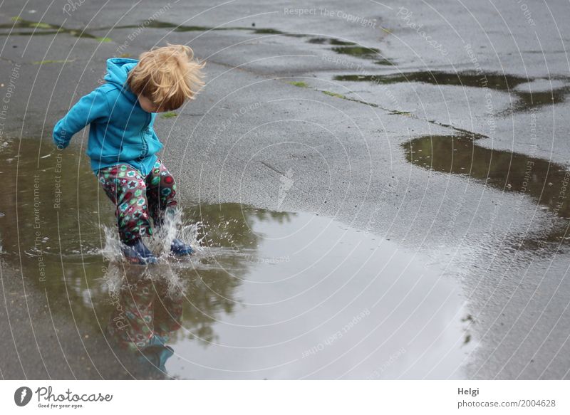 kleiner Junge mit bunter Hose und blauer Jacke springt mit Schwung in eine Pfütze Mensch maskulin Kleinkind Kindheit 1 1-3 Jahre Umwelt Wasser Sommer Bekleidung