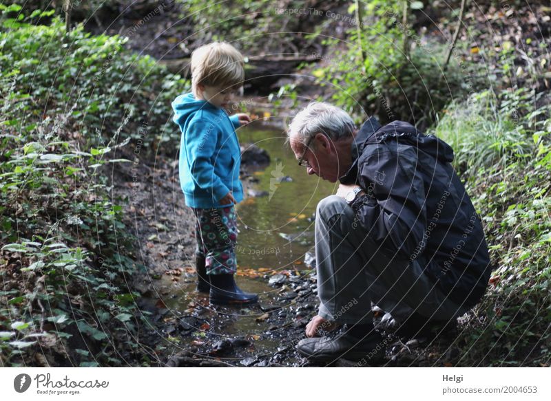 kleiner Junge und sein Opa sind auf Entdeckungstour an einem Bach im Wald Mensch maskulin Kleinkind Männlicher Senior Mann Großvater Kindheit 2 3-8 Jahre