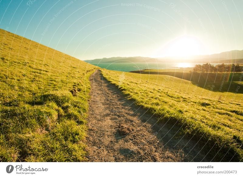 New Zealand 51 Umwelt Natur Landschaft Wolkenloser Himmel Sonnenaufgang Sonnenuntergang Sonnenlicht Schönes Wetter Wiese Hügel Alpen Berge u. Gebirge Gipfel