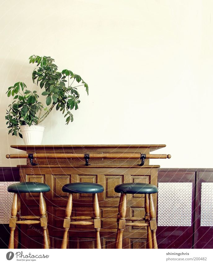 vor dem rausch. Stil Design Innenarchitektur Möbel Restaurant Bar Cocktailbar Gastronomie Pflanze Grünpflanze Holz alt historisch blau braun grün
