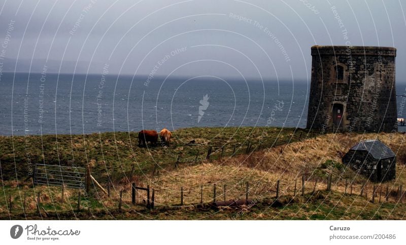 Schottland Umwelt Landschaft Erde Wasser Wolken Frühling Wetter schlechtes Wetter Wiese Wellen Küste Großbritannien Isle of Skye Europa Menschenleer Bauwerk