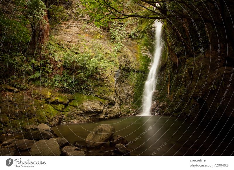 New Zealand 60 Umwelt Natur Landschaft Urelemente Wasser Pflanze Baum Gras Sträucher Moos Wald Urwald Hügel Felsen Teich Wasserfall ästhetisch außergewöhnlich