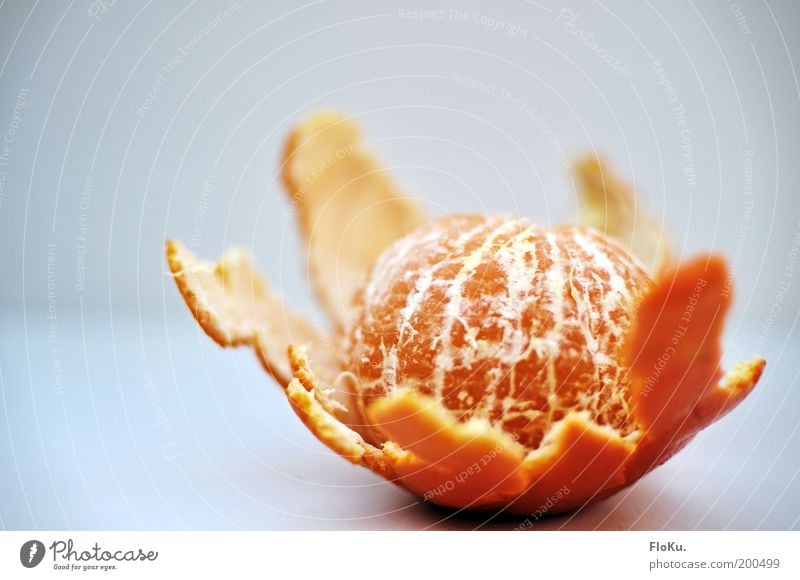 Mandarinen-Striptease Lebensmittel Frucht Orange Ernährung Bioprodukte Vegetarische Ernährung Diät Fasten gelb rot weiß ästhetisch entkleiden Vitamin süß saftig